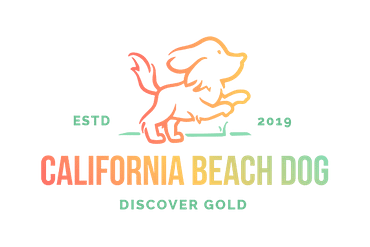 California beach dog