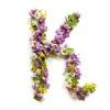 The letter «K» made of various natural small flowers.